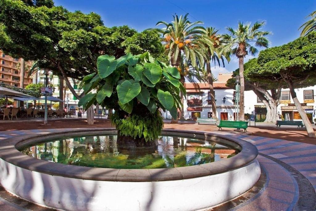 Centrico, Comodo Y Bello Apto En Puerto De La Cruz Puerto de la Cruz (Tenerife) Exterior foto